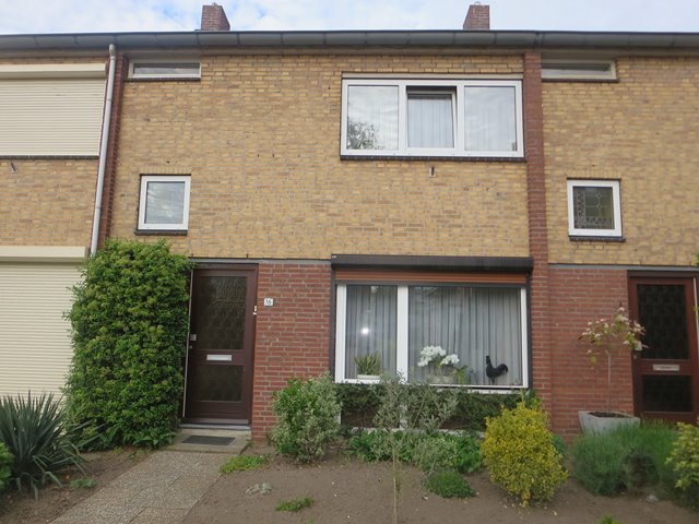 Flamingostraat 16