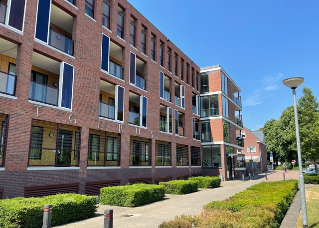 Pastoor Reijnenhof 9