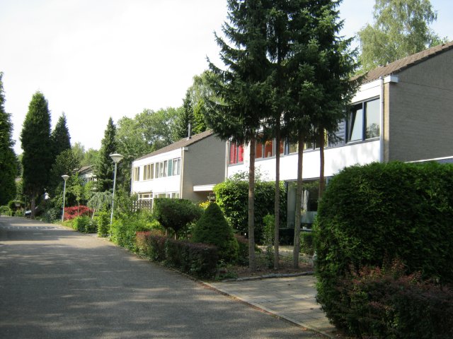 Linnaeusweg 54
