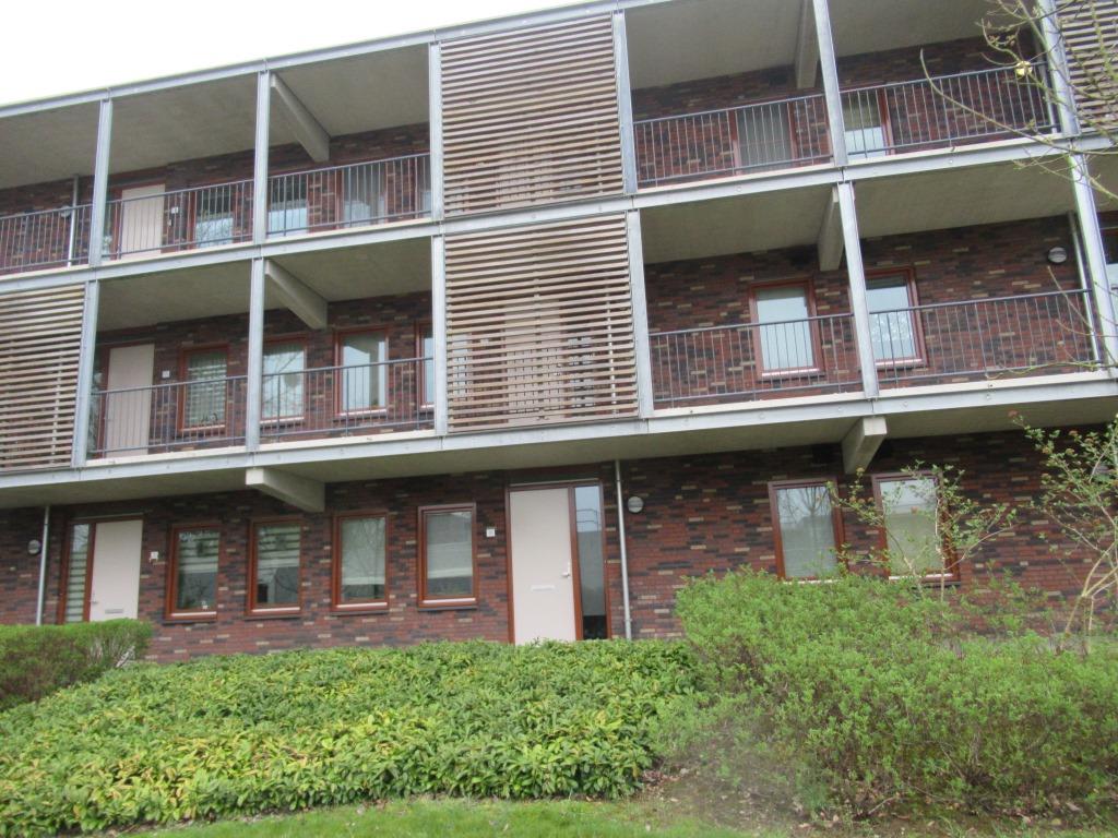 Henri Jonasstraat 29