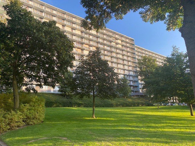 Henri Dunantstraat 717