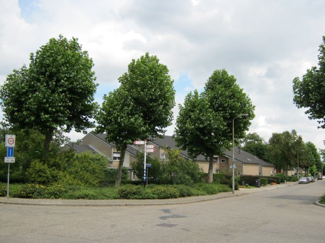 Schillerstraat 50