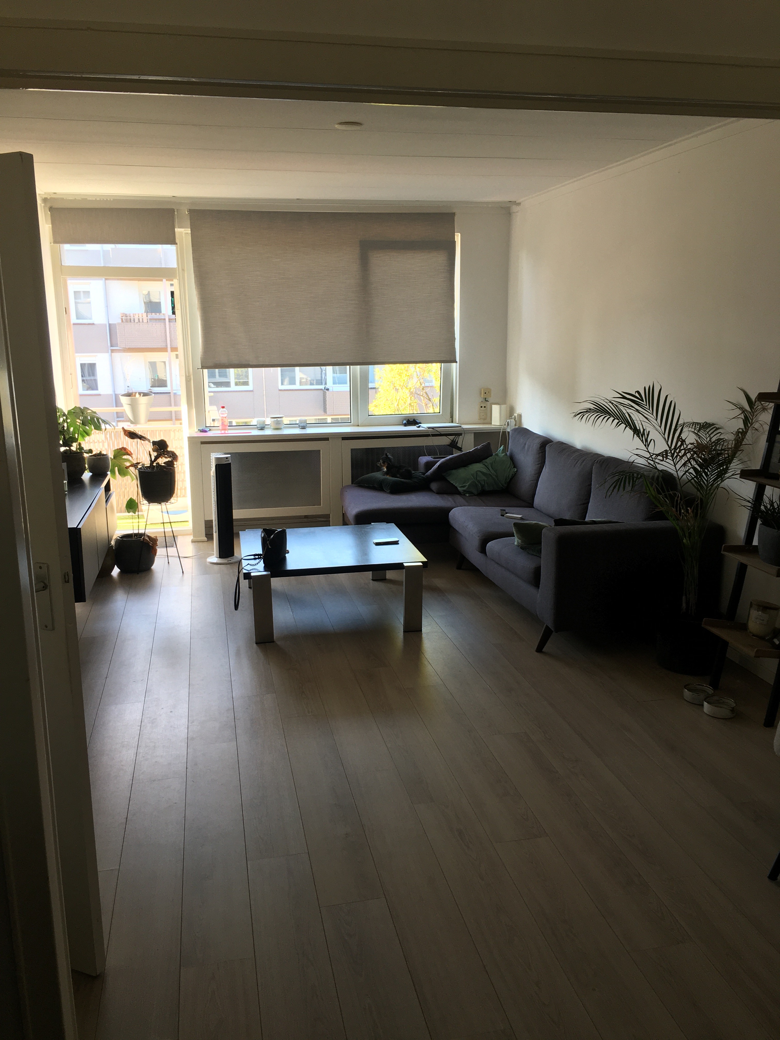 Beethovenstraat 59I