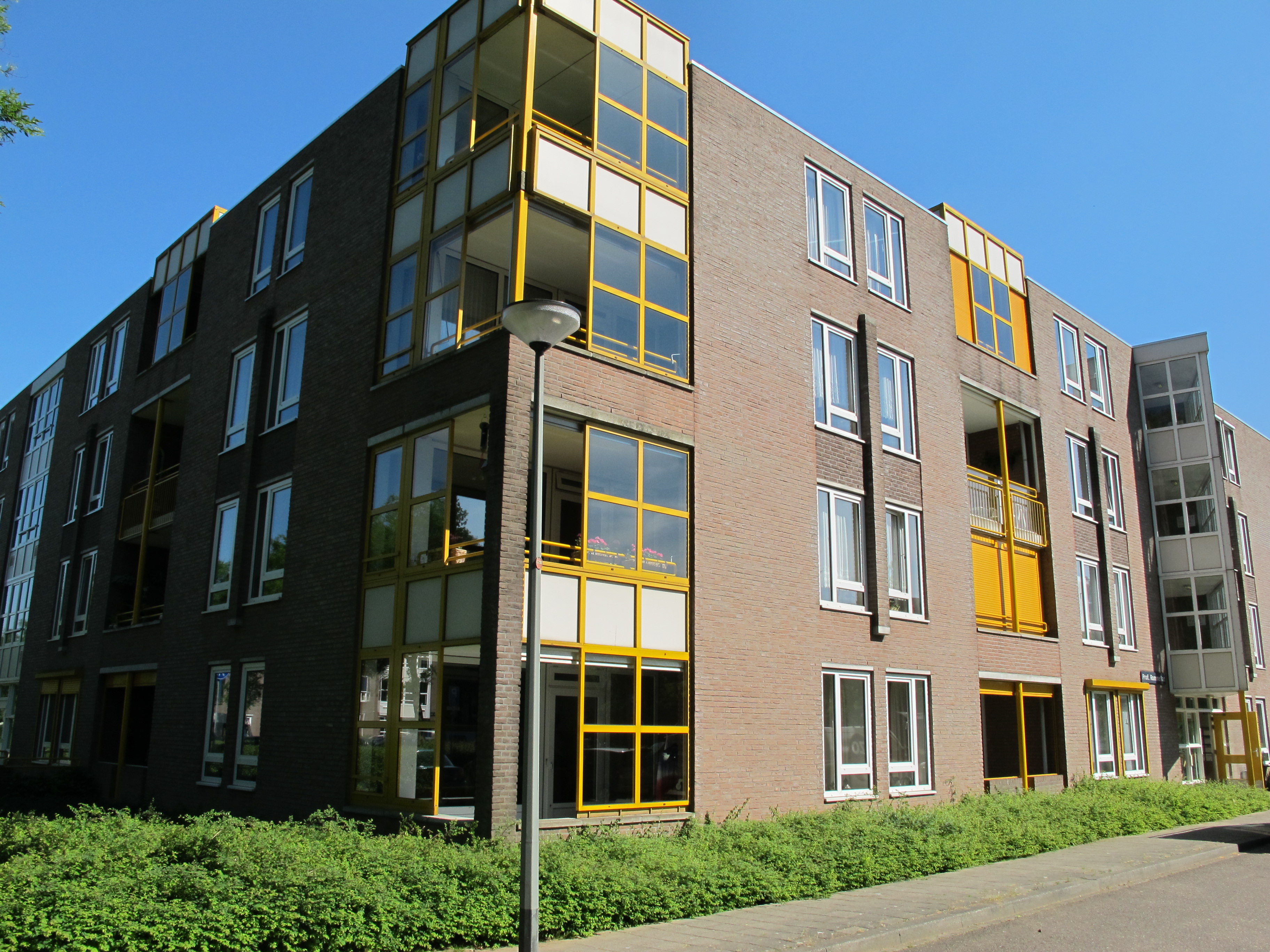 Professor Rommeflat 3