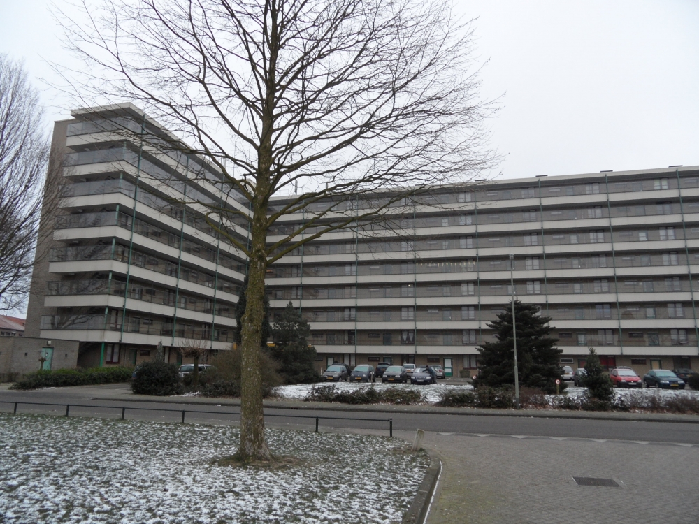 Schuttersveld 36, 5801 EJ Venray, Nederland