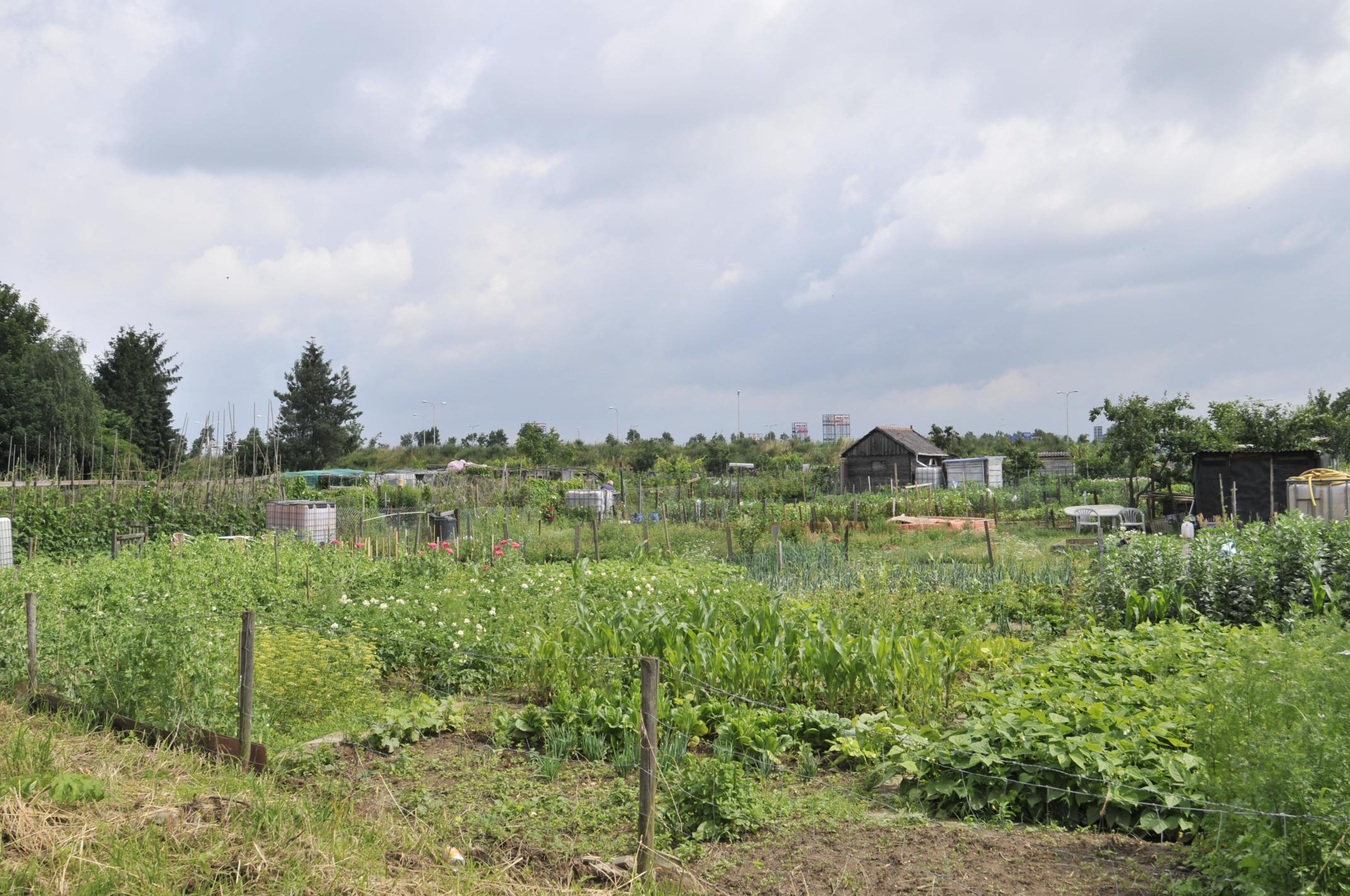 Schout Kellenerstraat 64