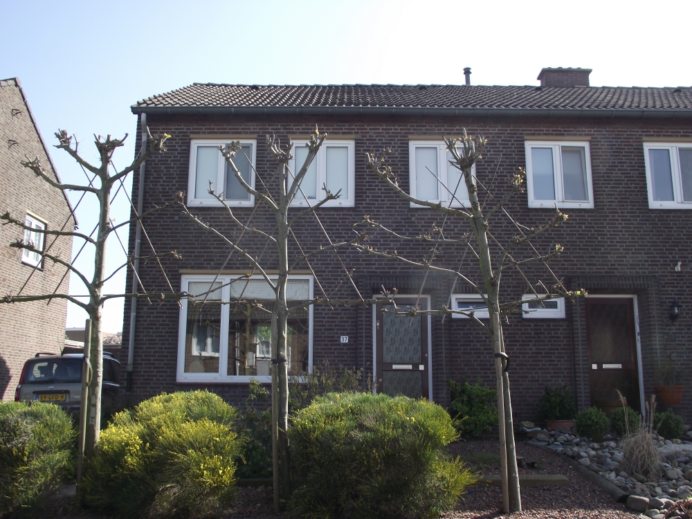 Minnegardsweg 37