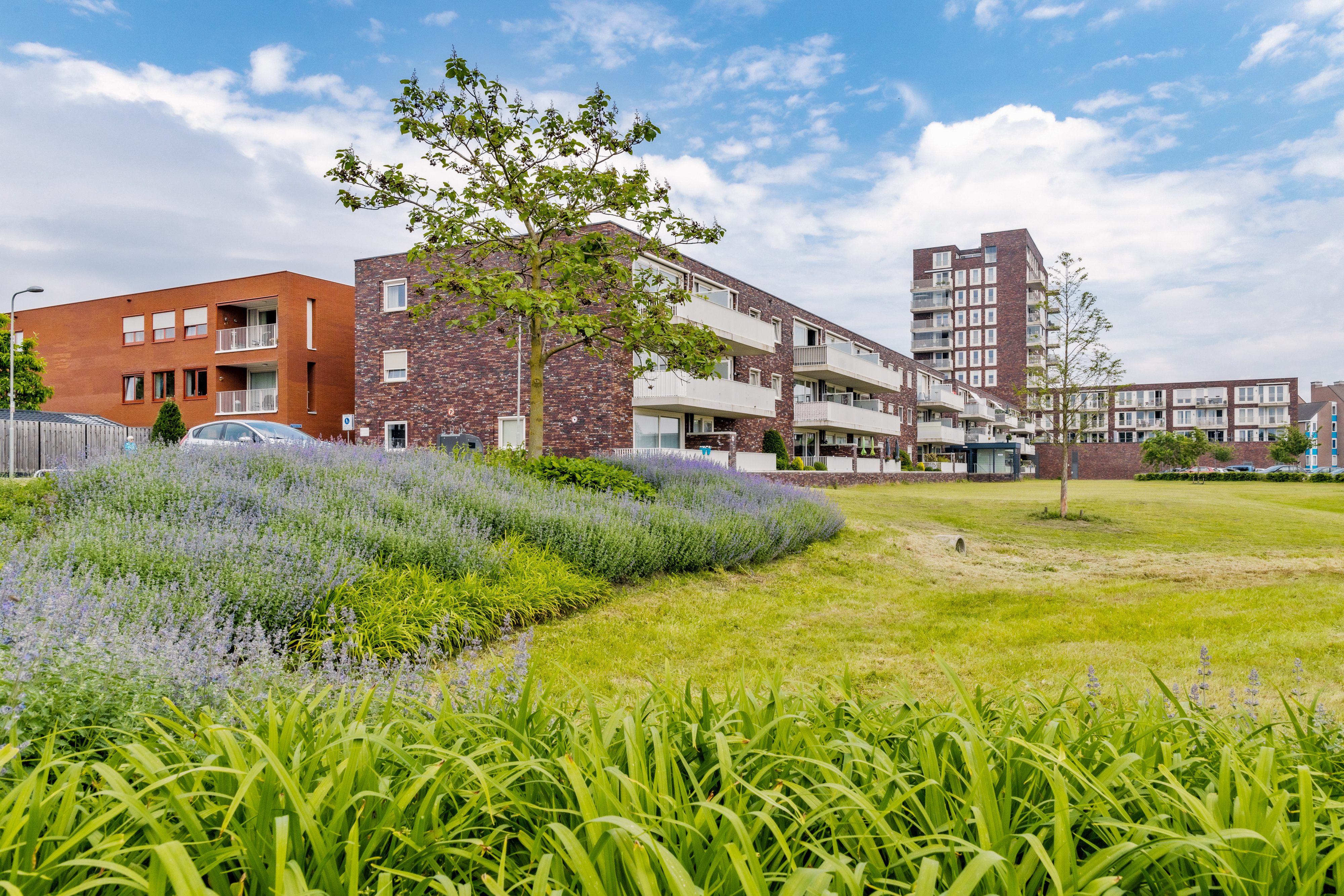 Keizershof 19, 5801 VL Venray, Nederland