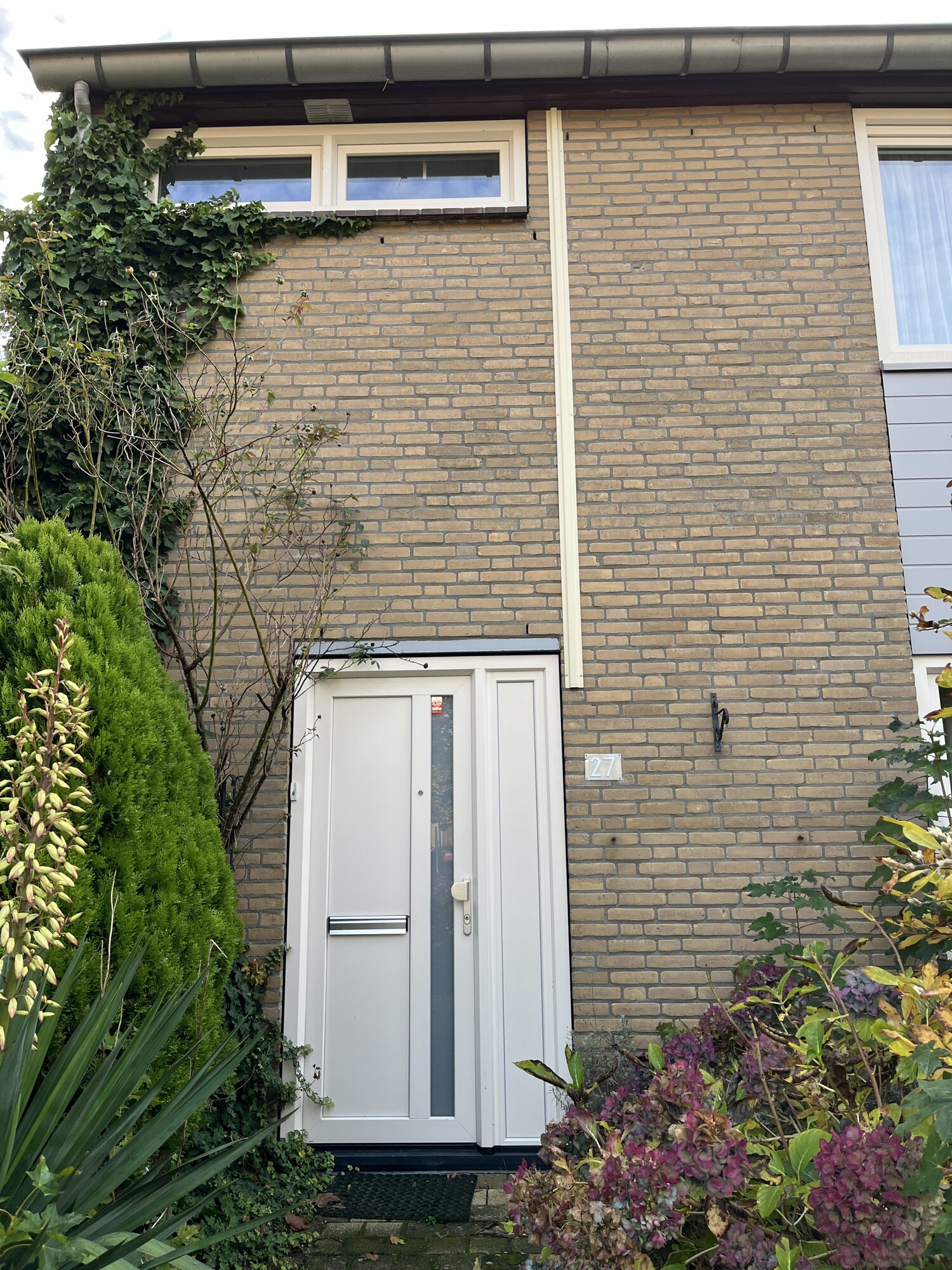 Meeuwenstraat 27