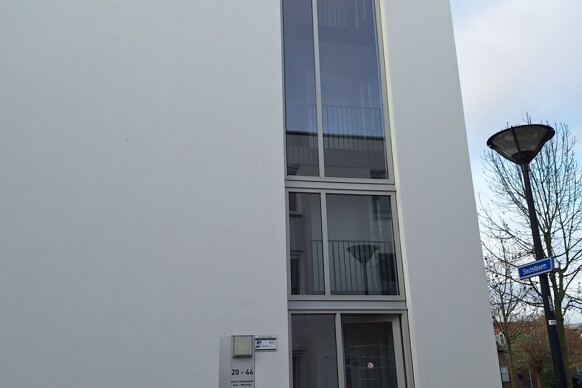 Sleutelbloem 32