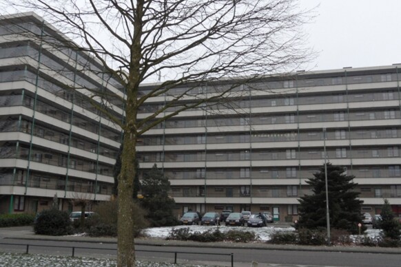 Schuttersveld 29