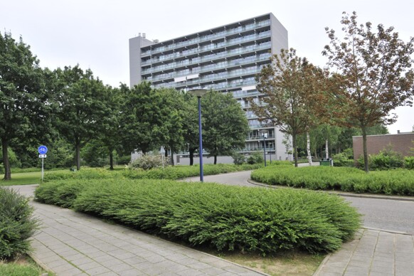 Olieslagersstraat 565