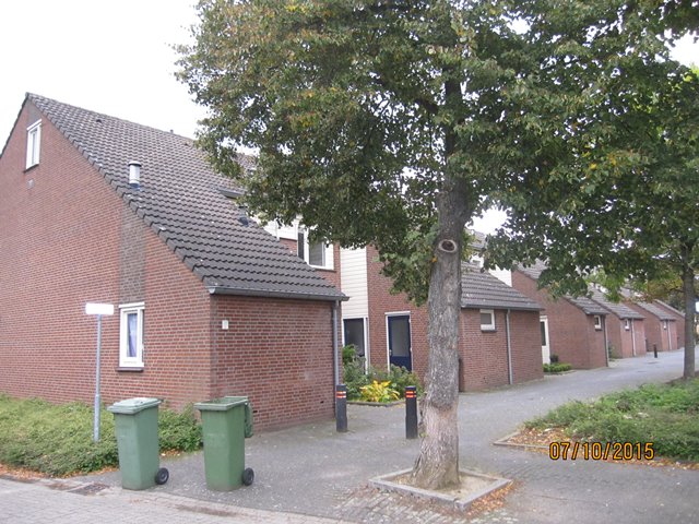 Kleistraat 26