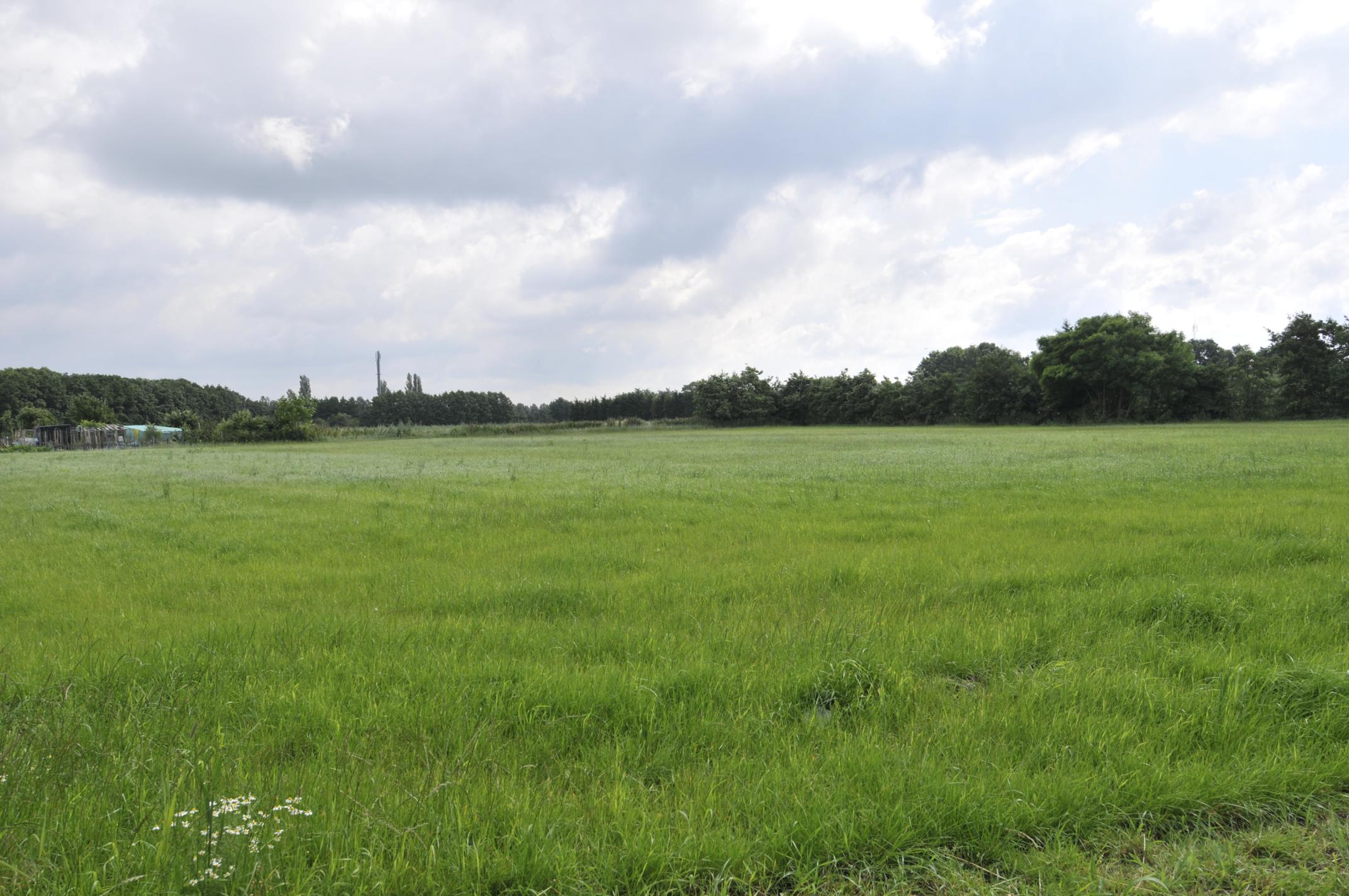 Schepen Goltsteynstraat 90