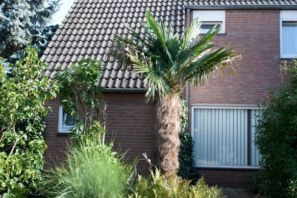 De Hoof 21