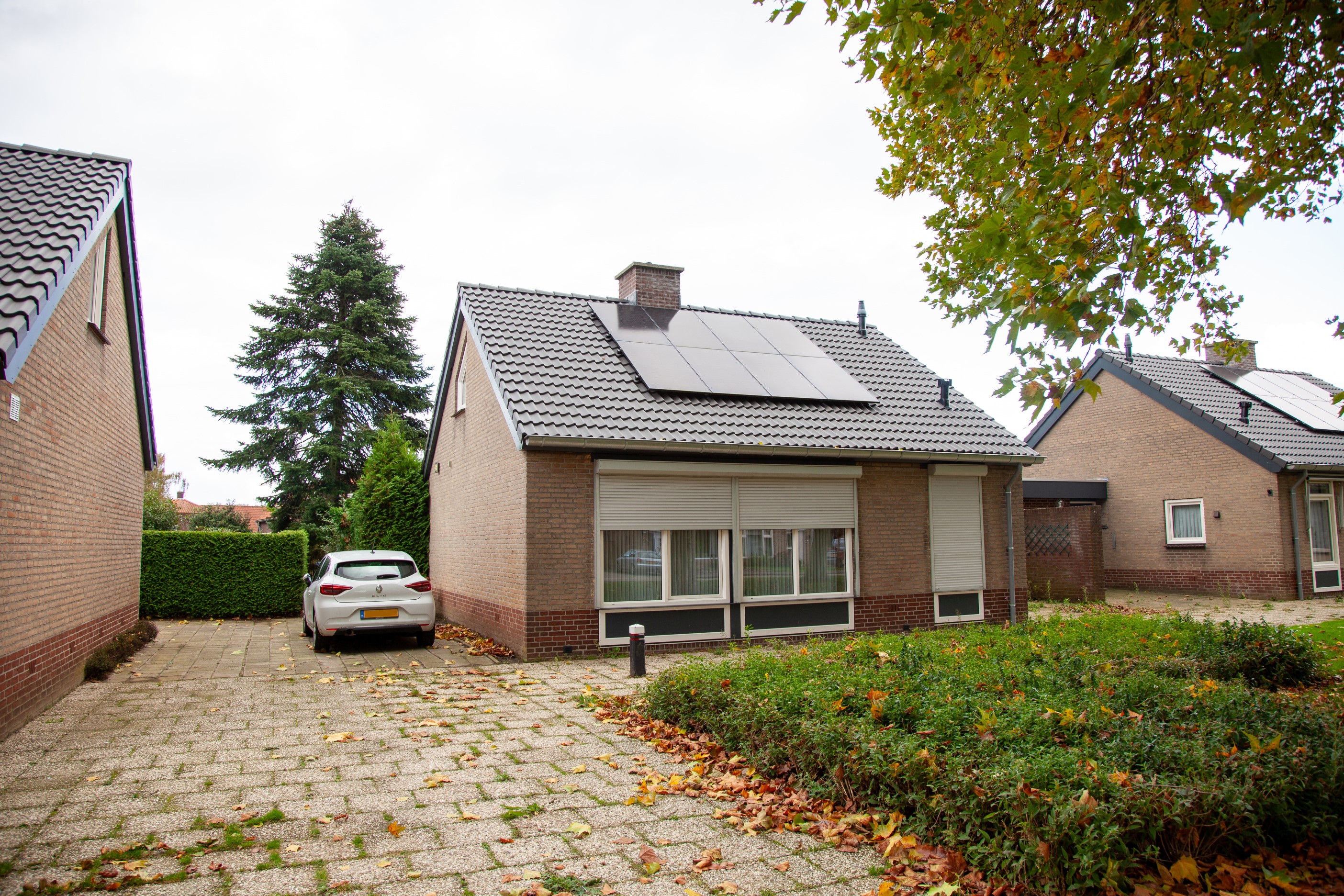 Ellenberg 8
