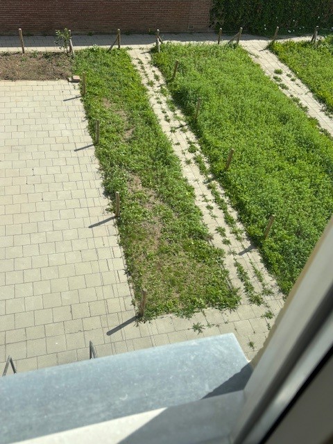 Pastoor Sartonstraat 13A