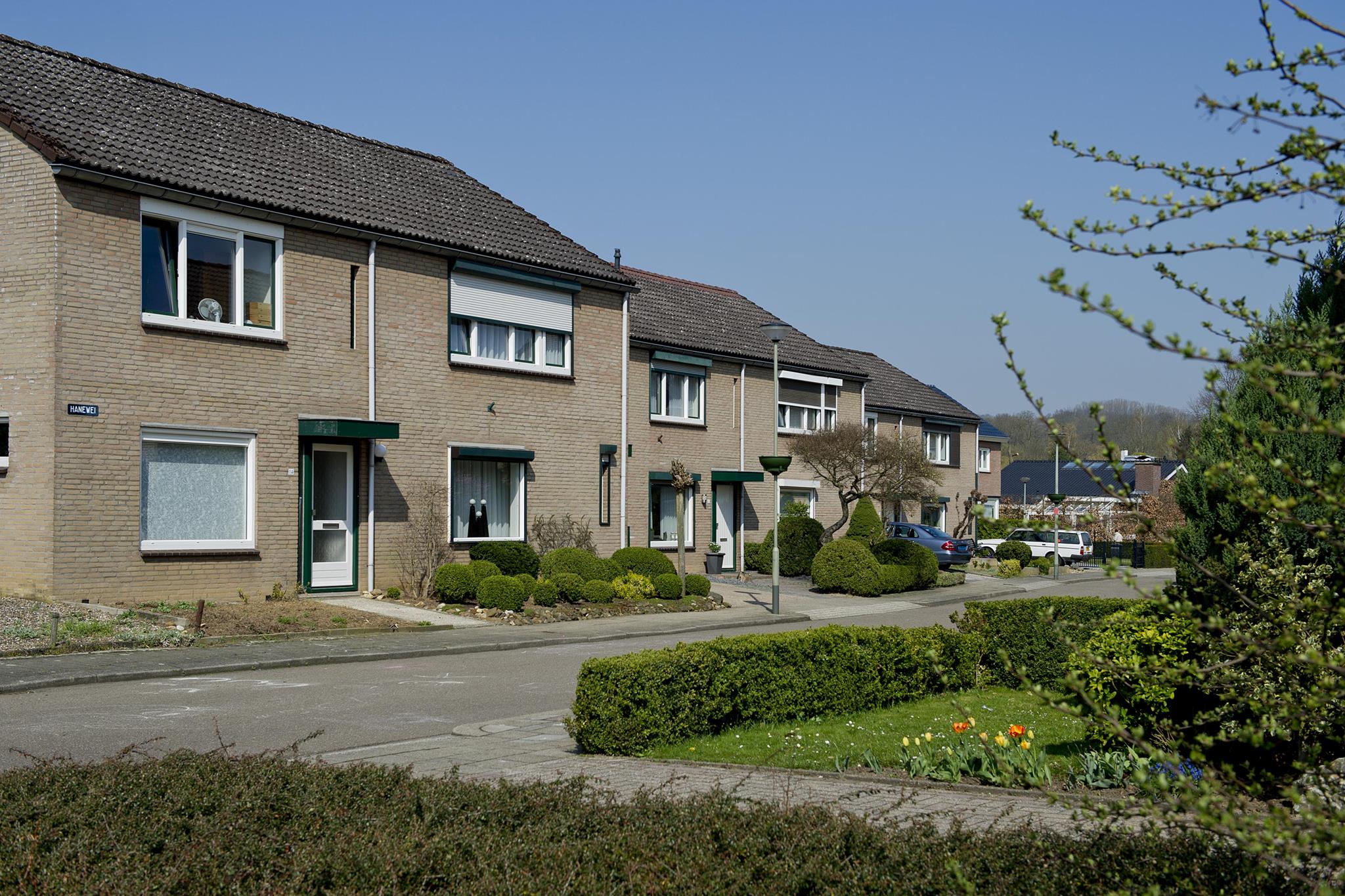 Hanewei 39
