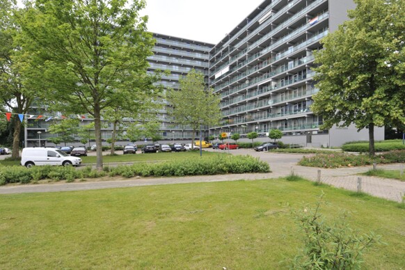 Olieslagersstraat 149