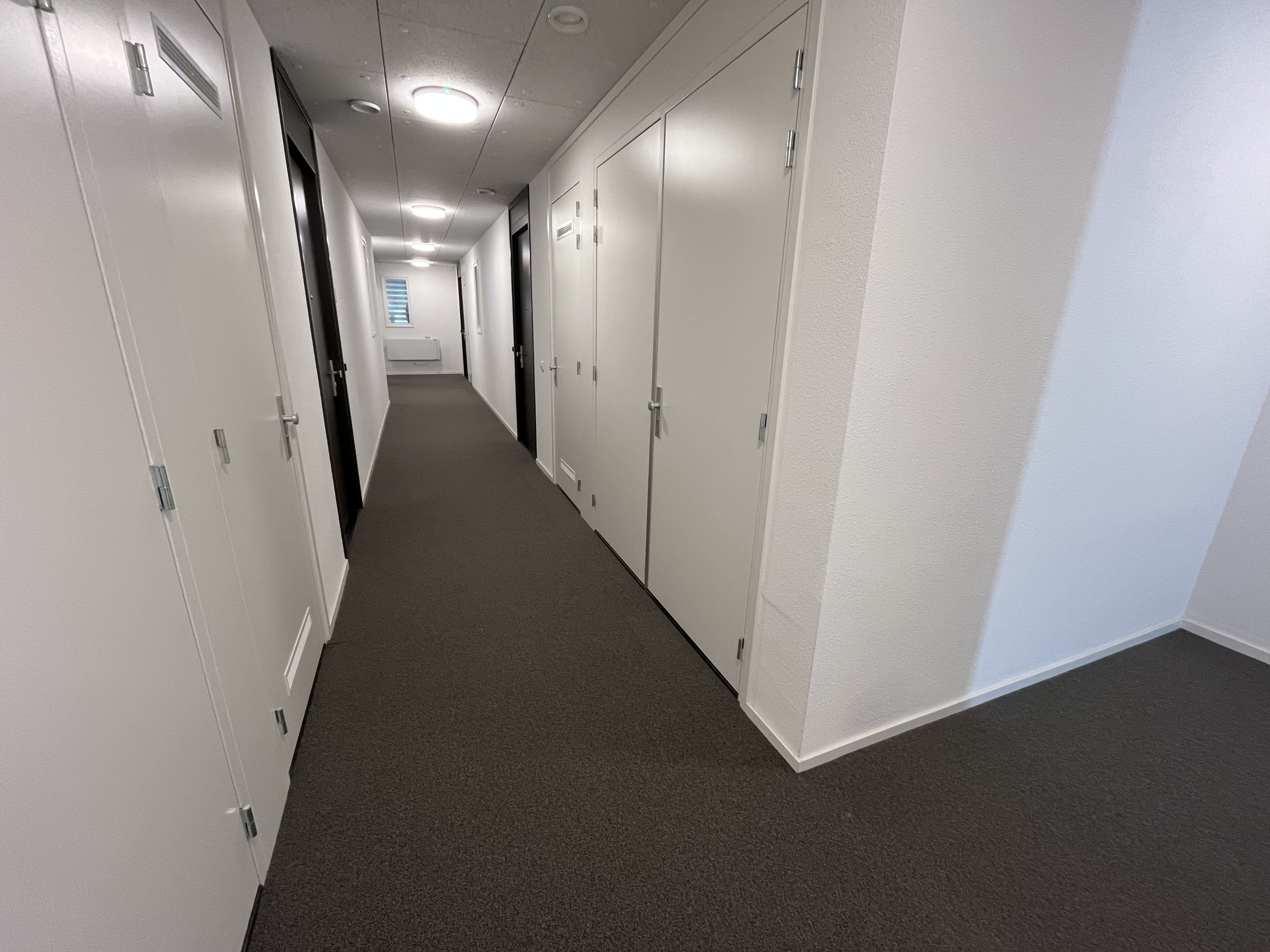 Doctor Poelsstraat 52