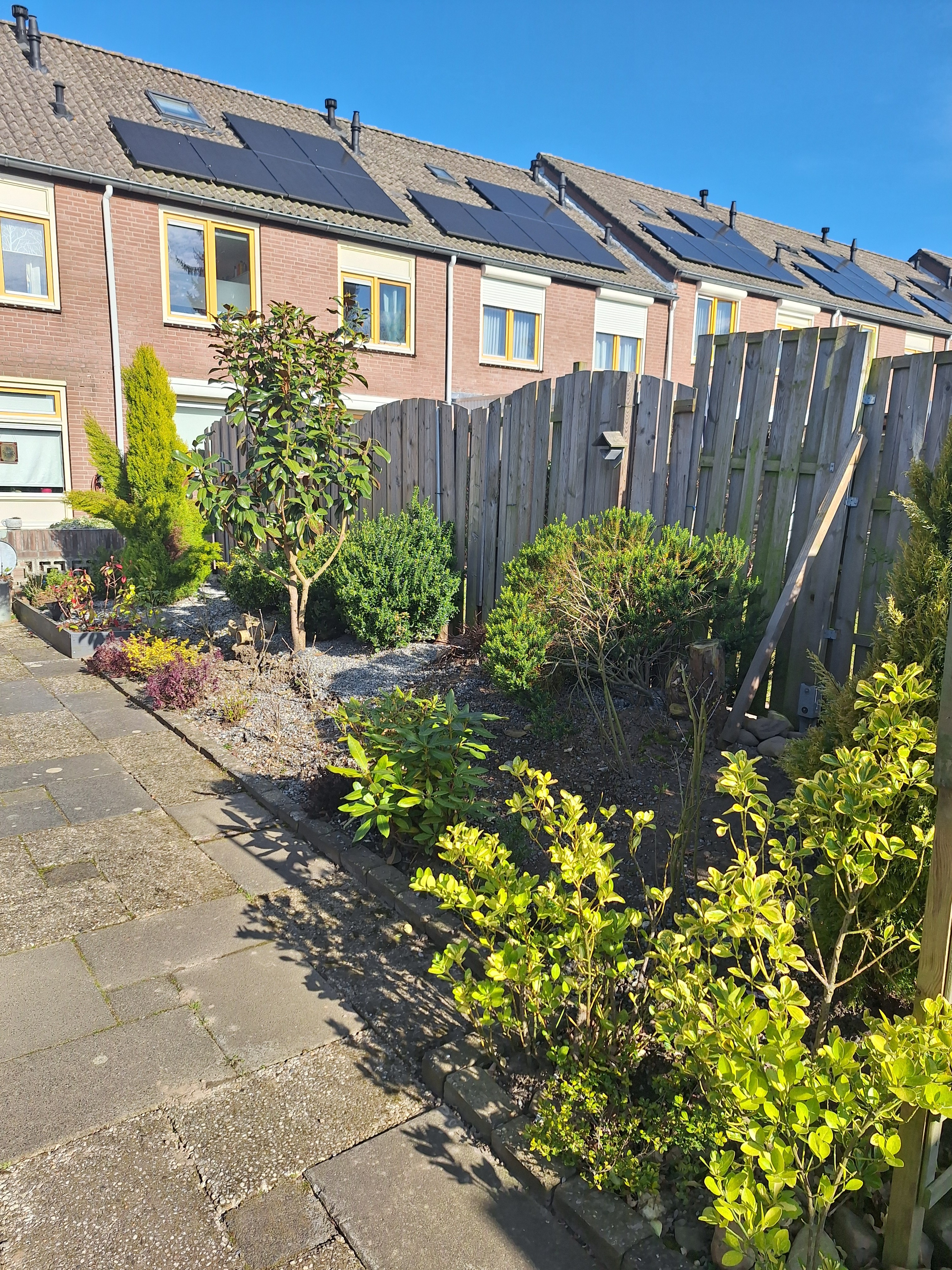 Sigebertstraat 24