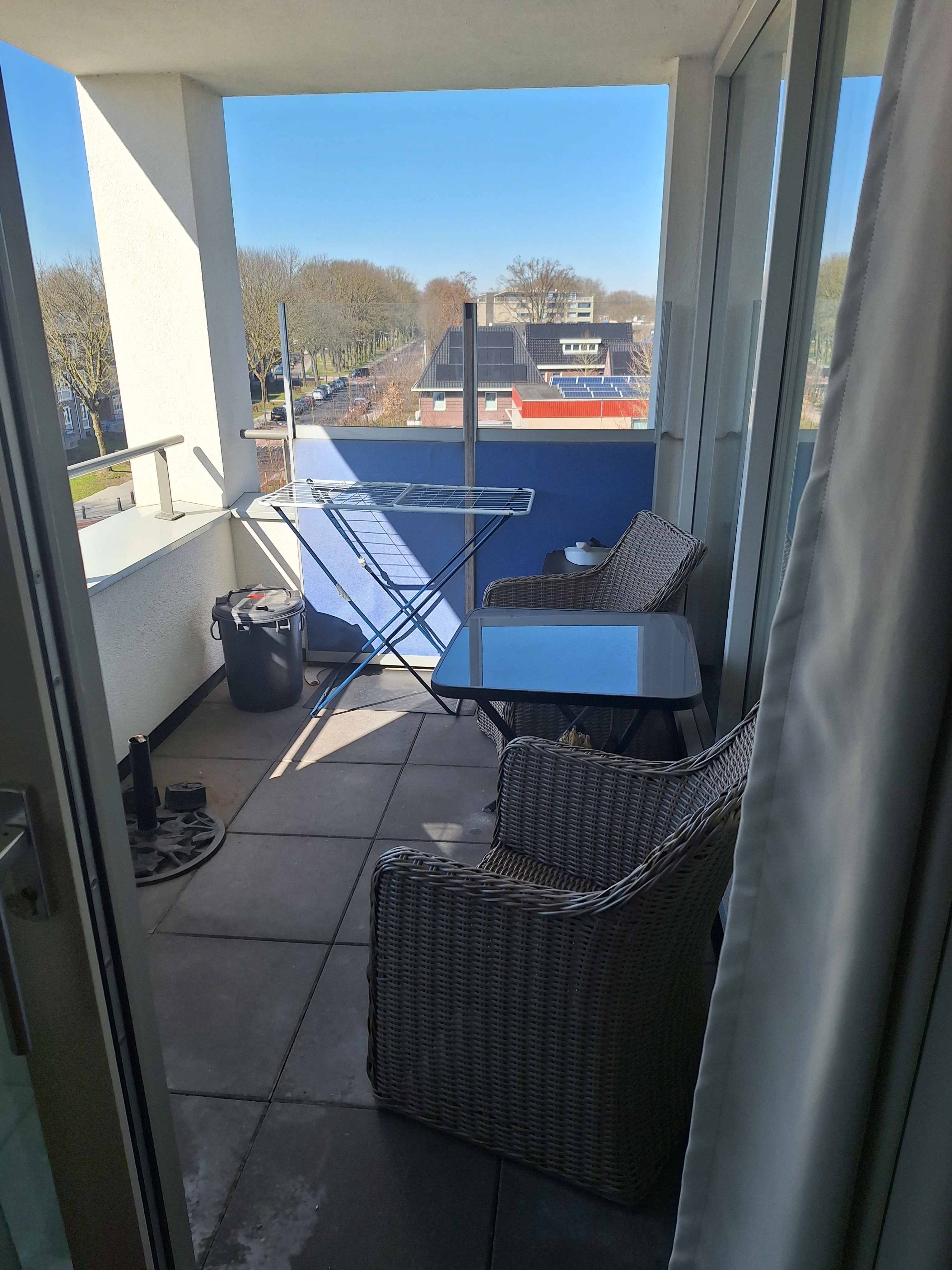 Sleutelbloem 38
