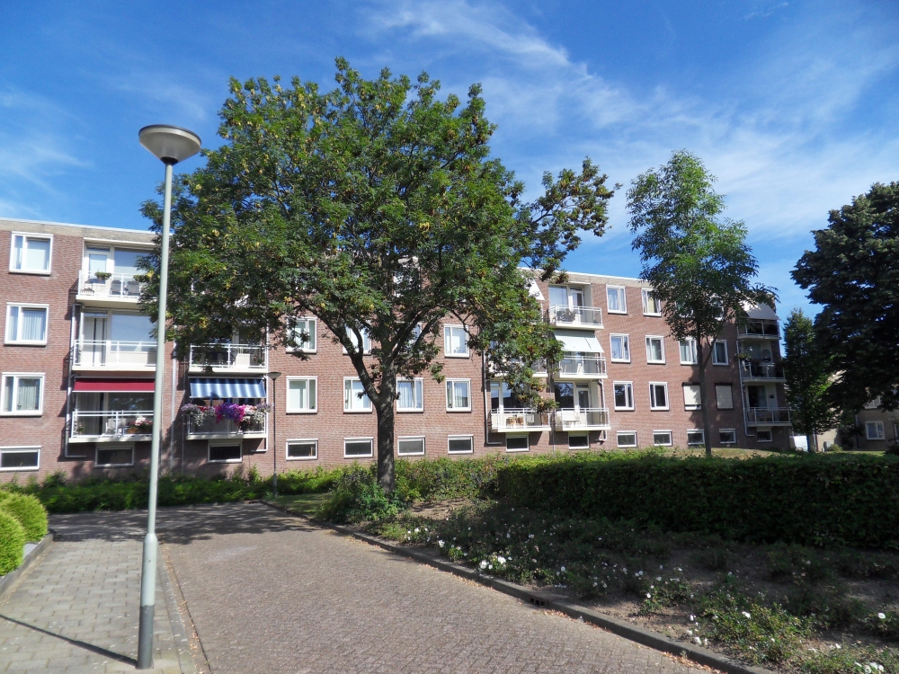 Sint Catharinahof 63