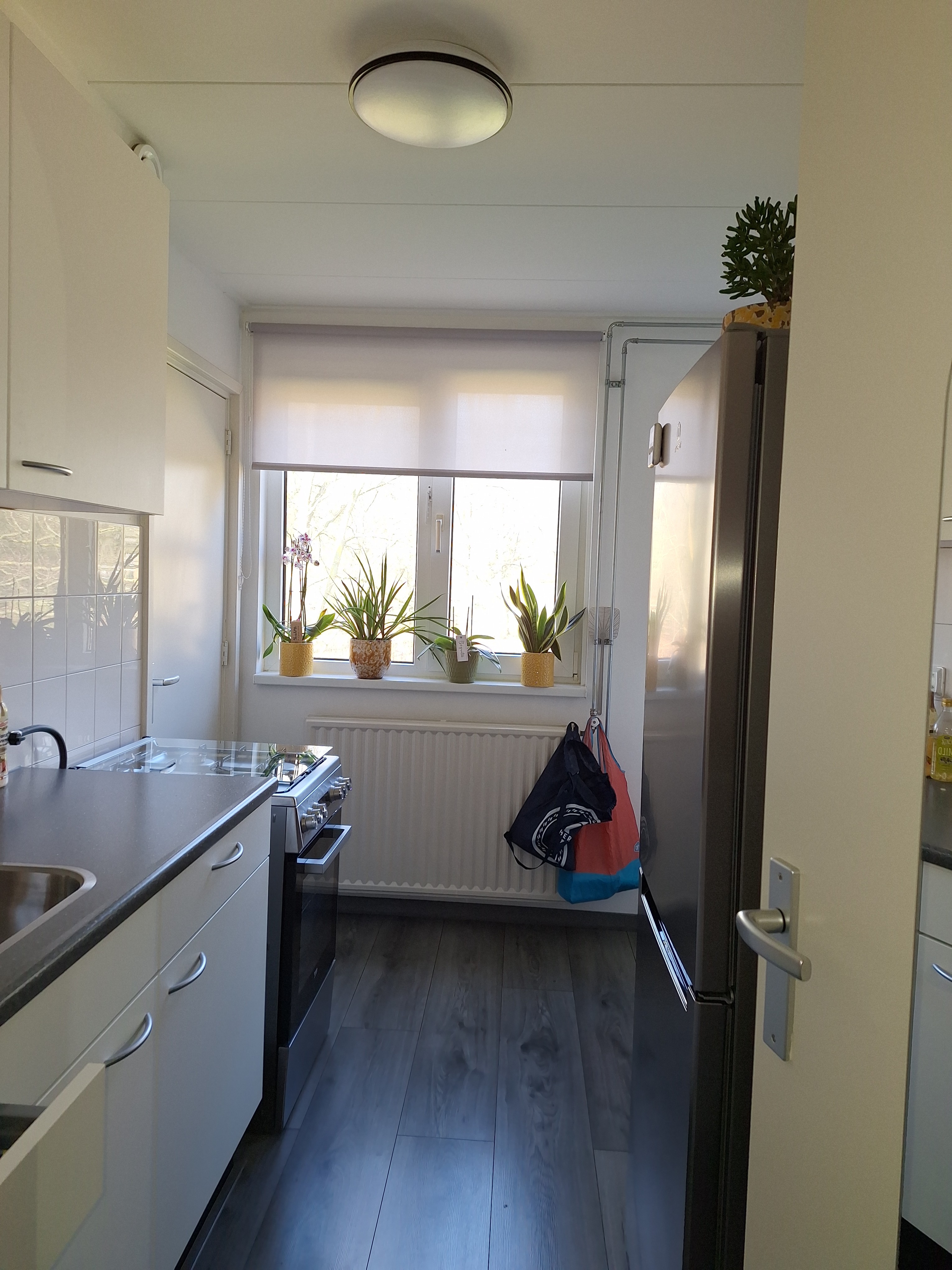 Albrecht Rodenbachstraat 27I