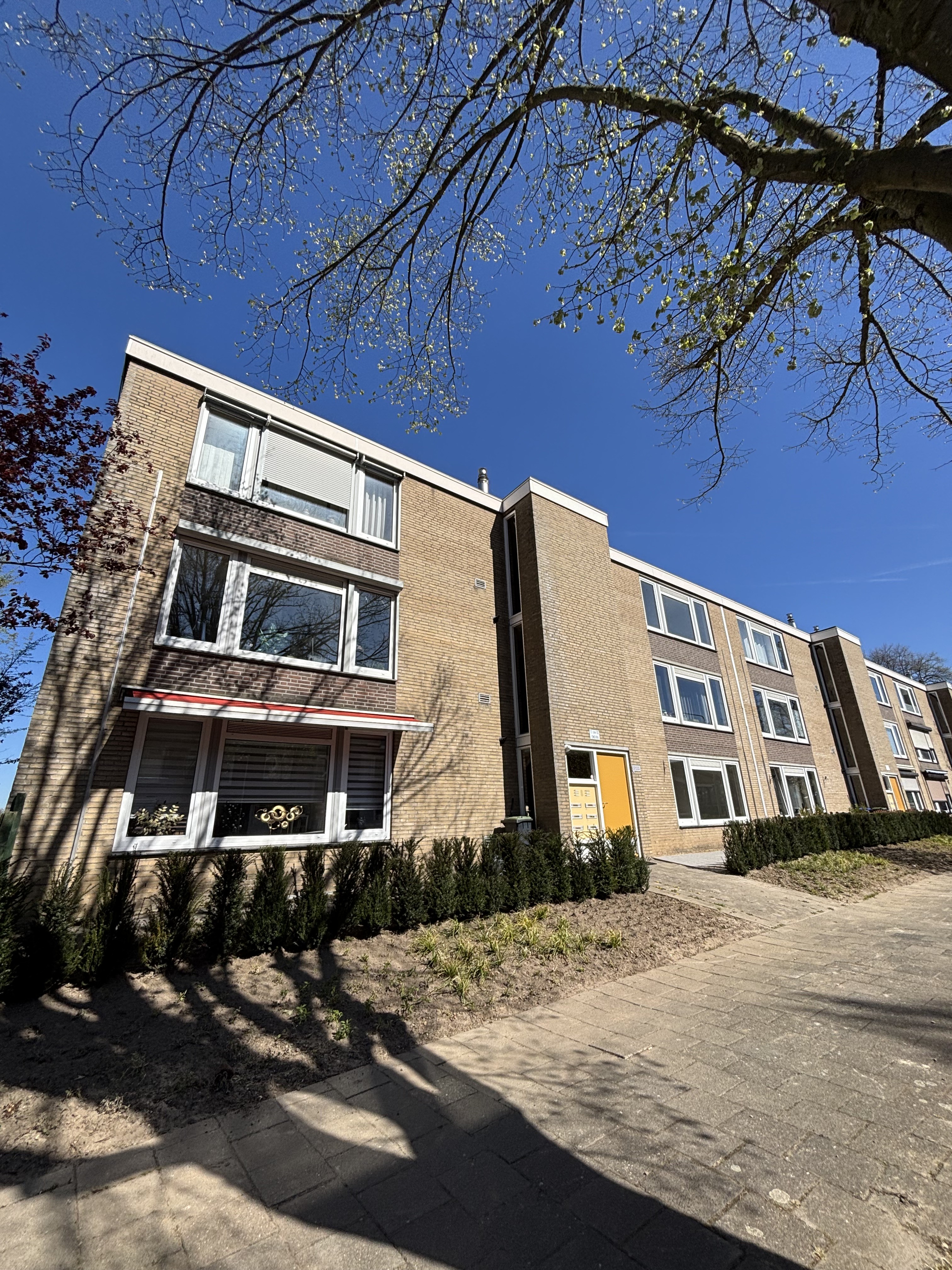 Anjelierstraat 83