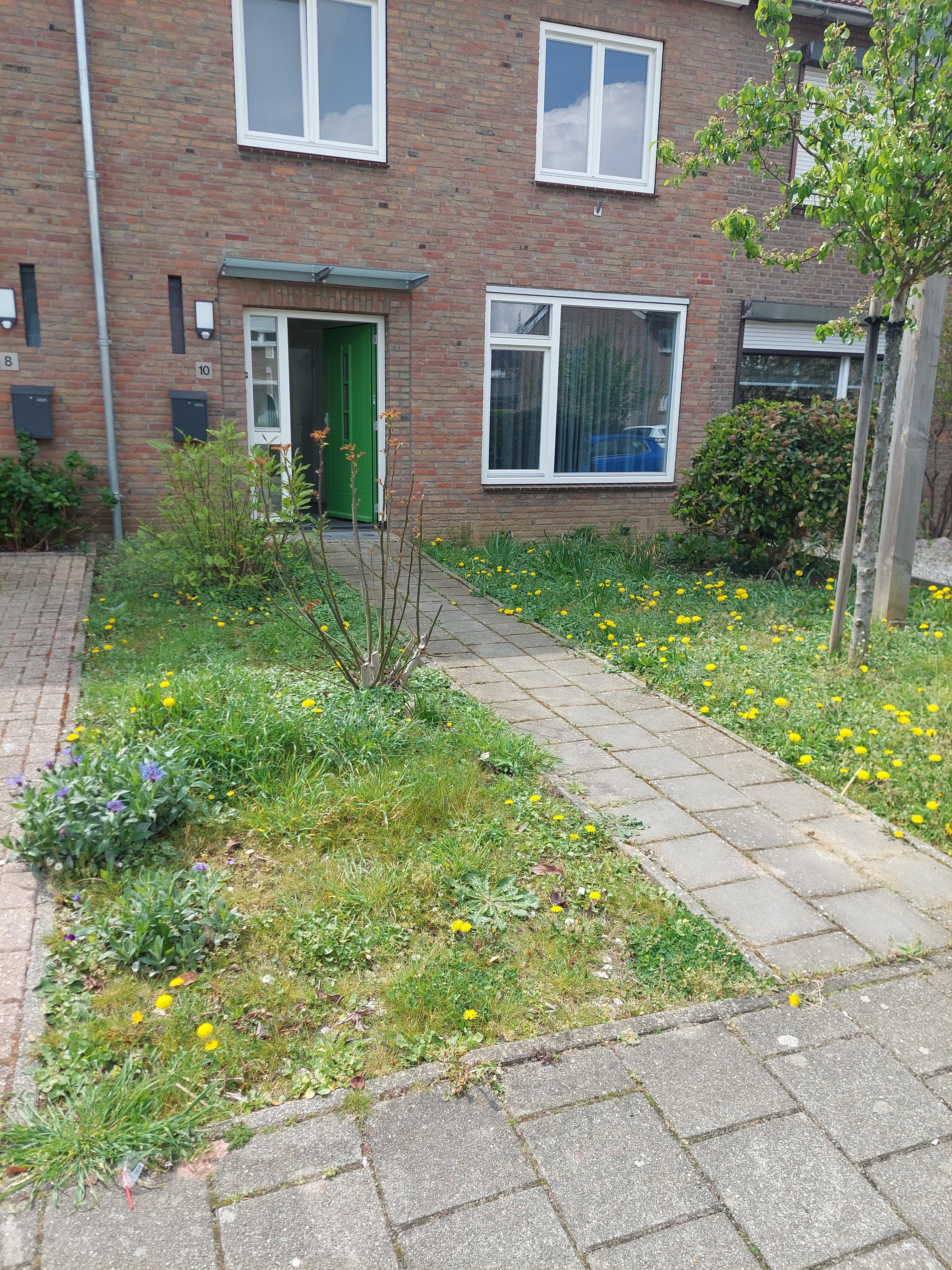 Crostolostraat 10, 6171 PM Stein, Nederland