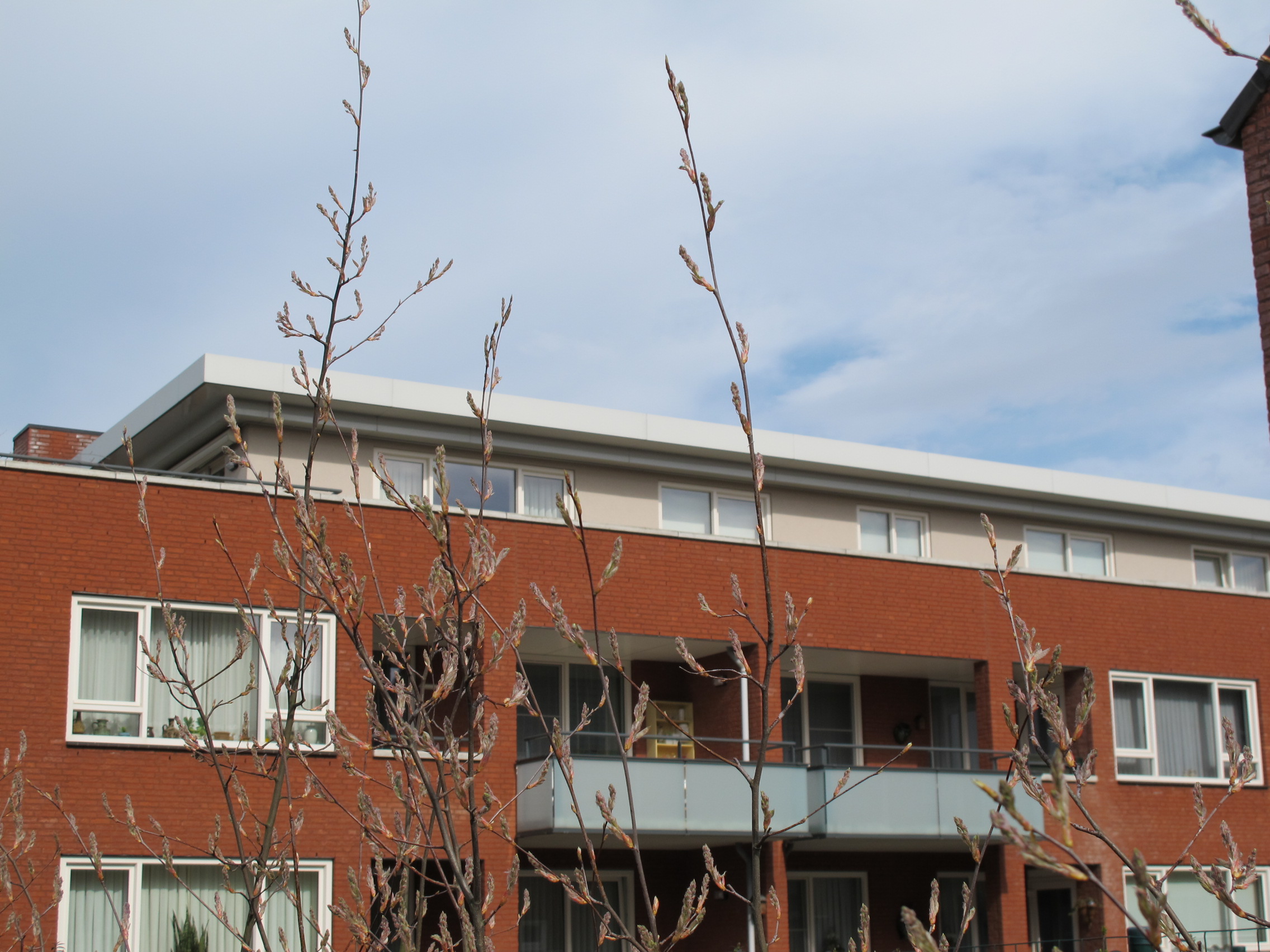 Burgemeester Gubbelsstraat 47