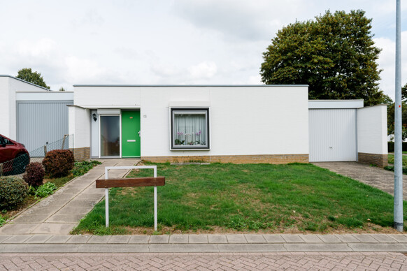 Voederruwe 5