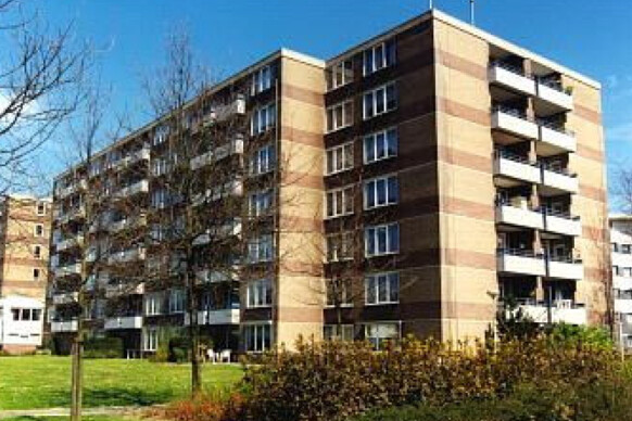 Cookstraat 111