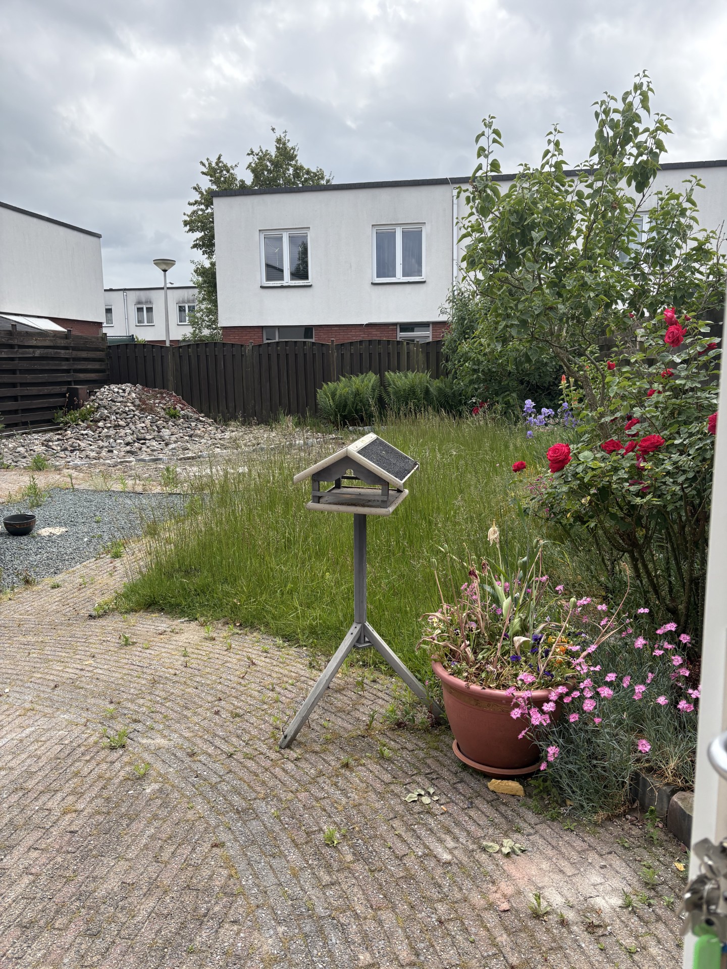 Livingstonestraat 36