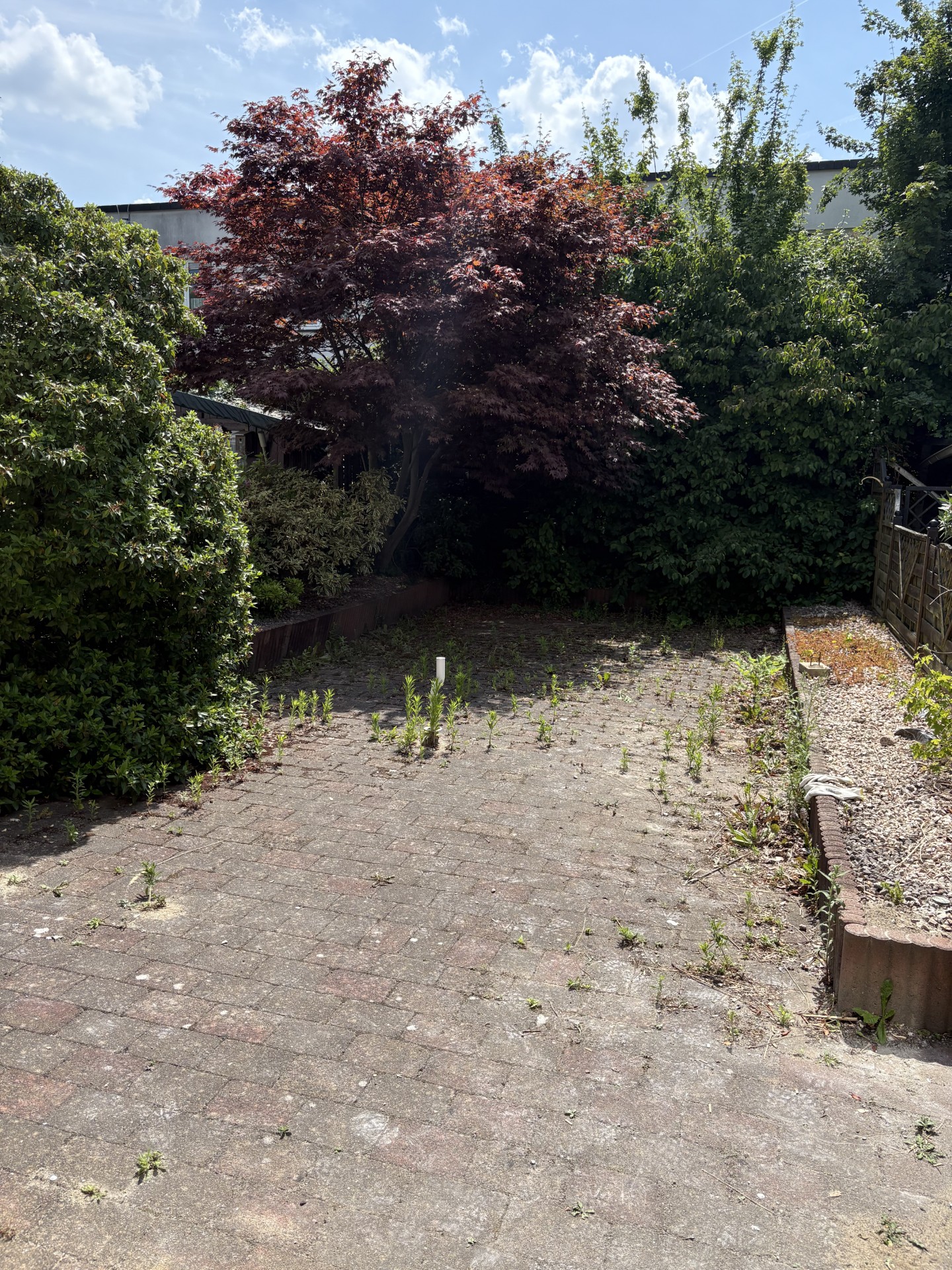 Willem Barentszweg 28