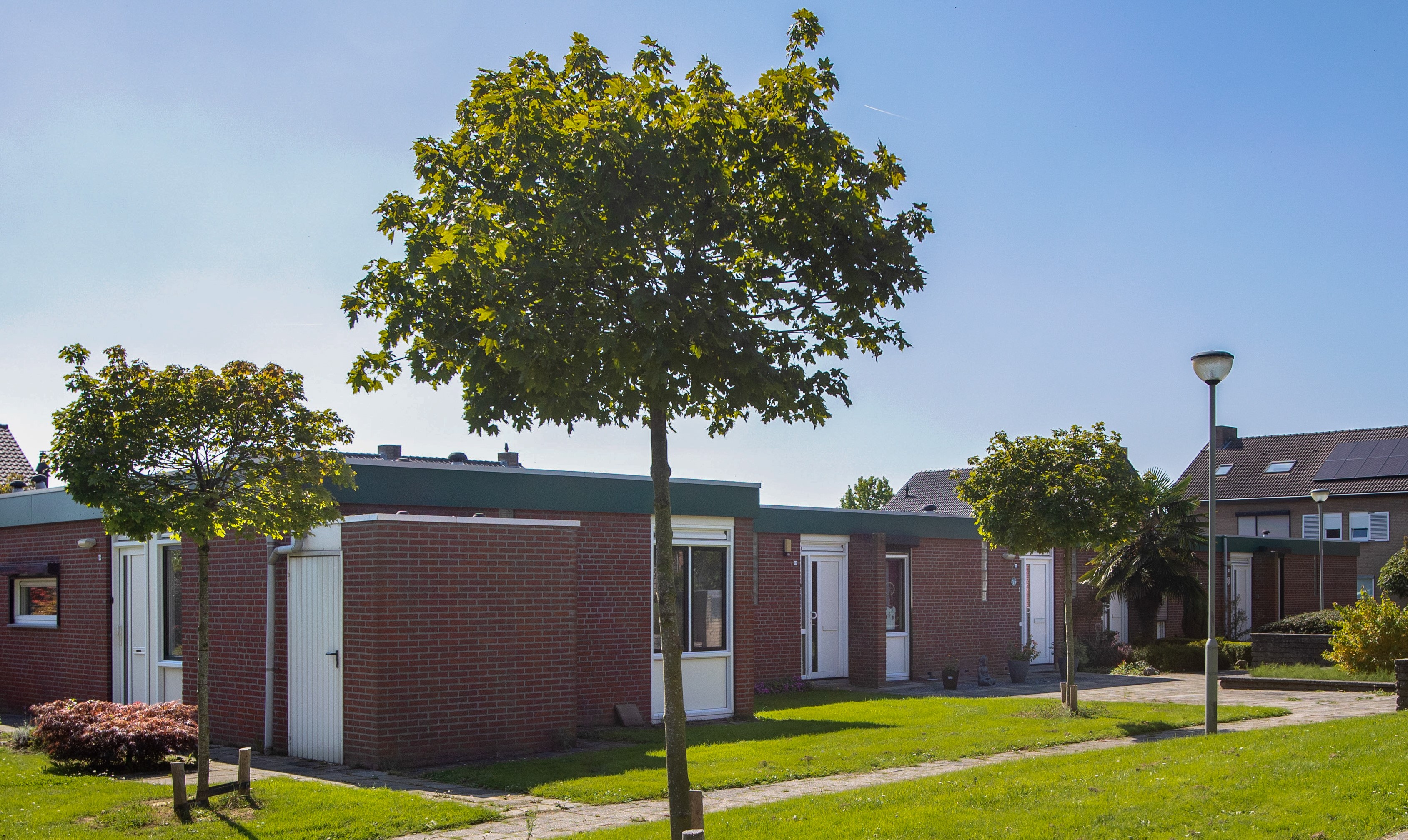 Frans Trijbelshöfke 12