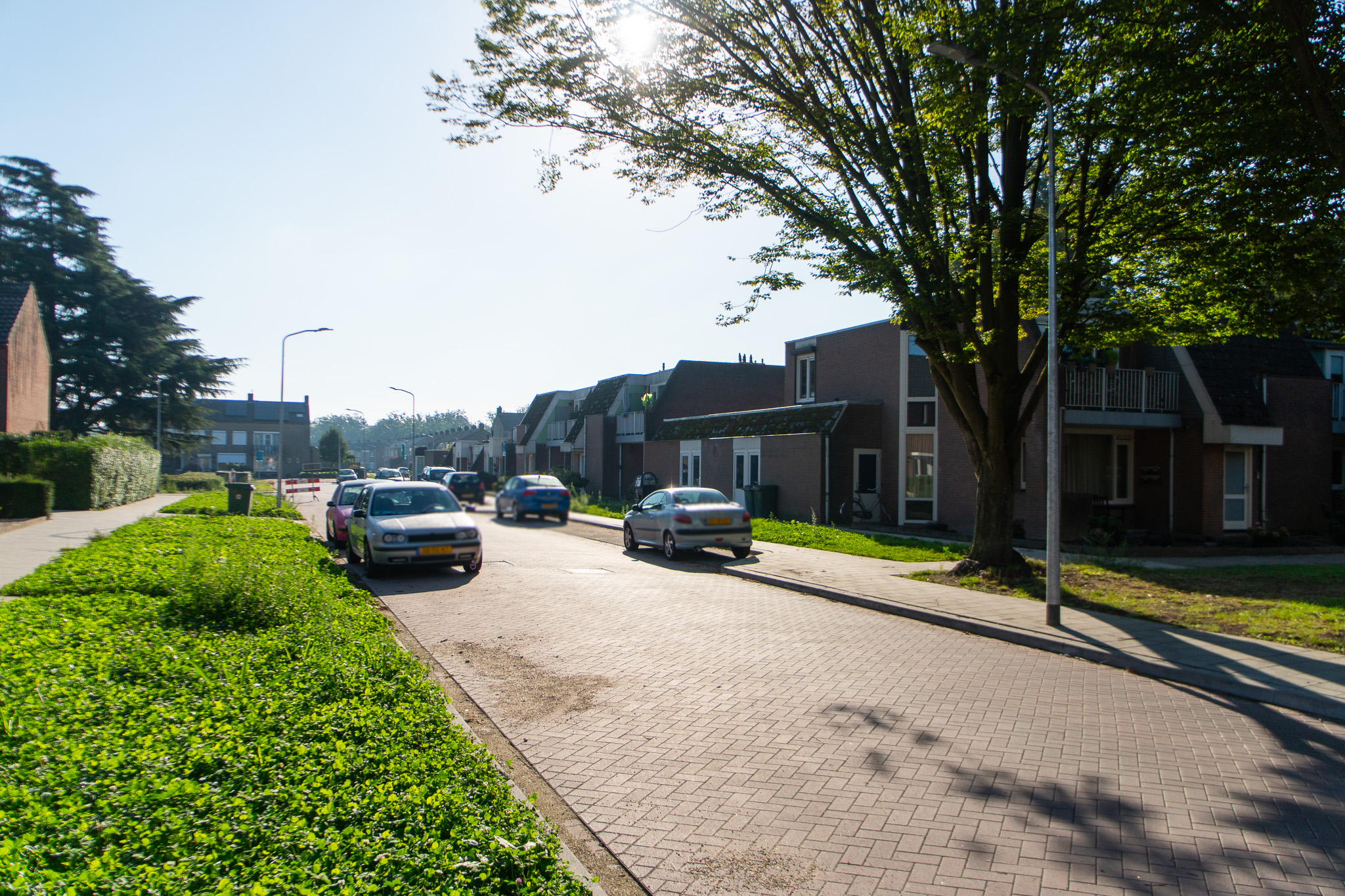 Willem de Zwijgerstraat 20