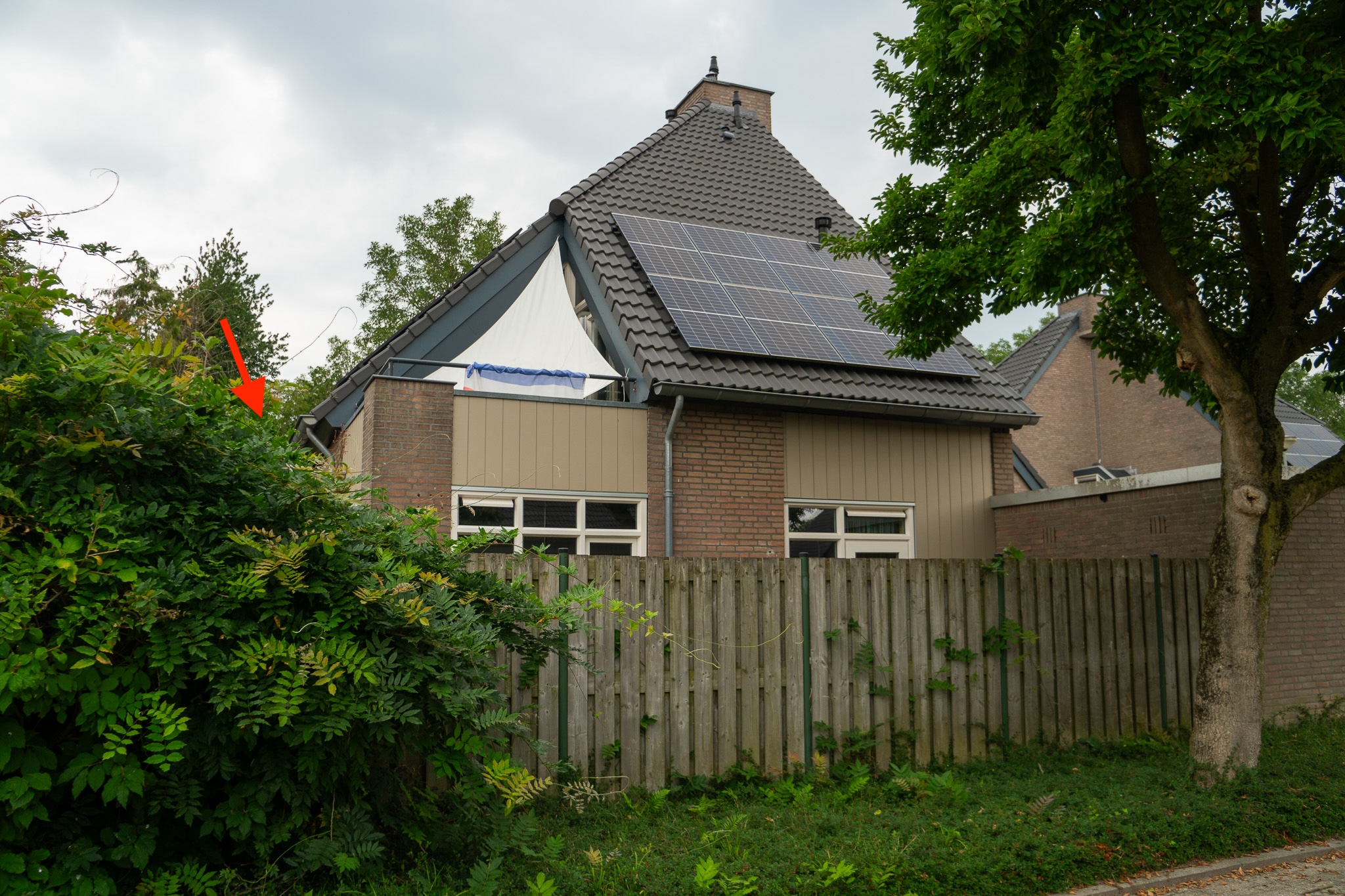 Burggraaf 27, 5802 AZ Venray, Nederland