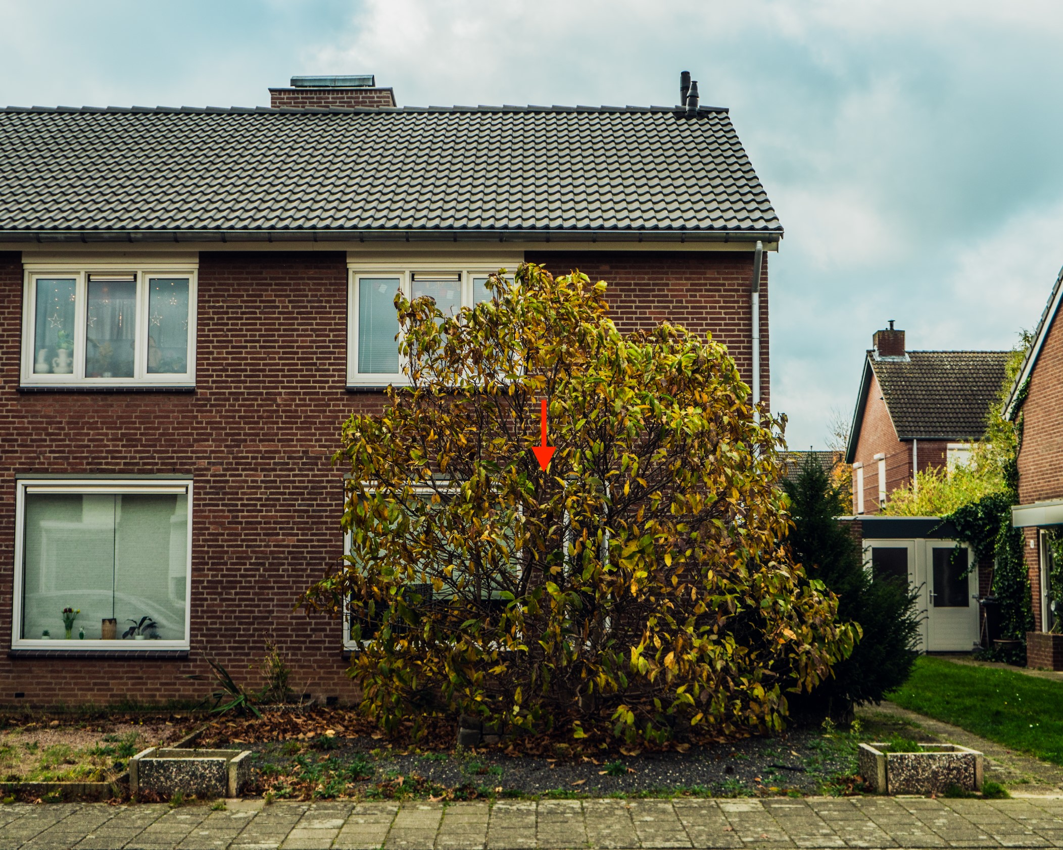 Roerstraat 16, 6051 LH Maasbracht, Nederland