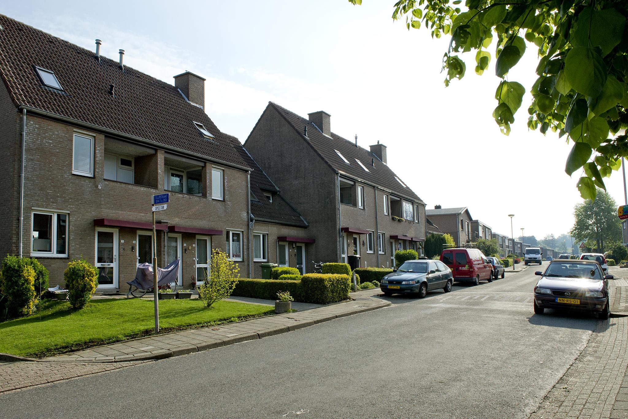Tulpstraat 52