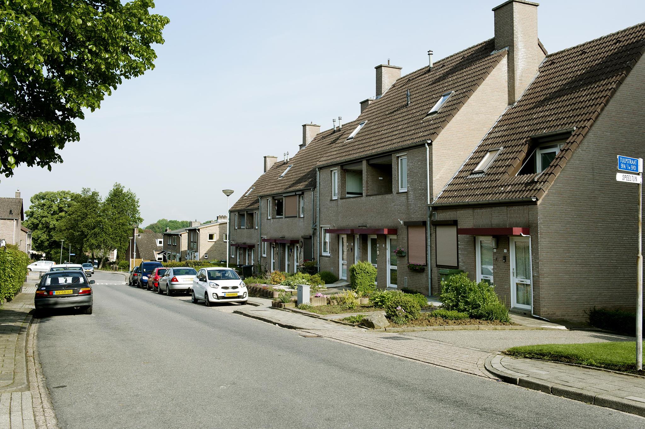 Tulpstraat 52
