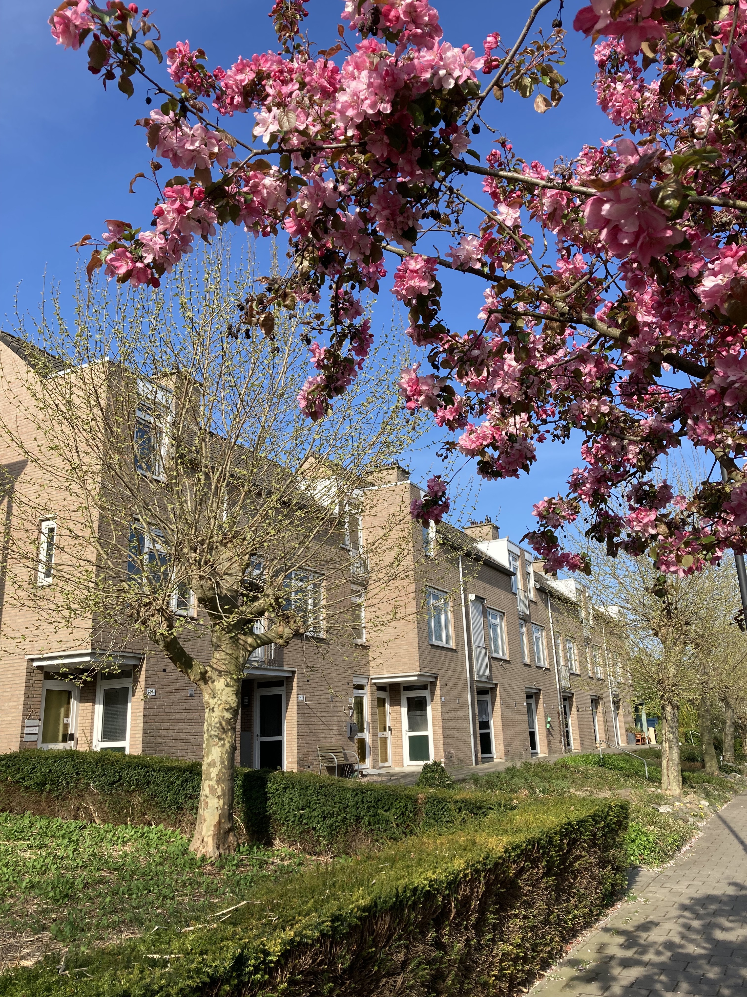 Bloemendalstraat 83, 6291 CL Vaals, Nederland