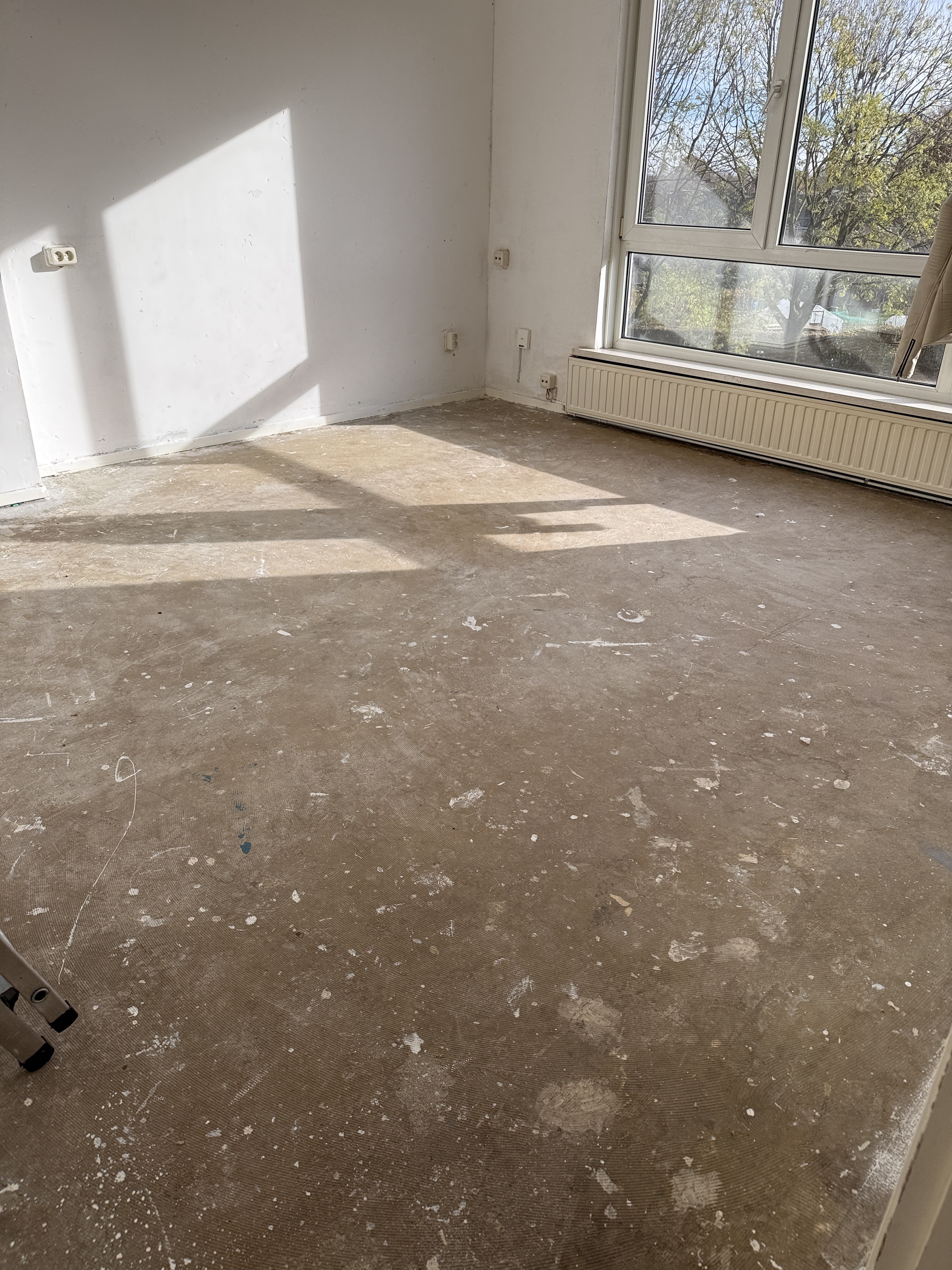 Albrecht Rodenbachstraat 19