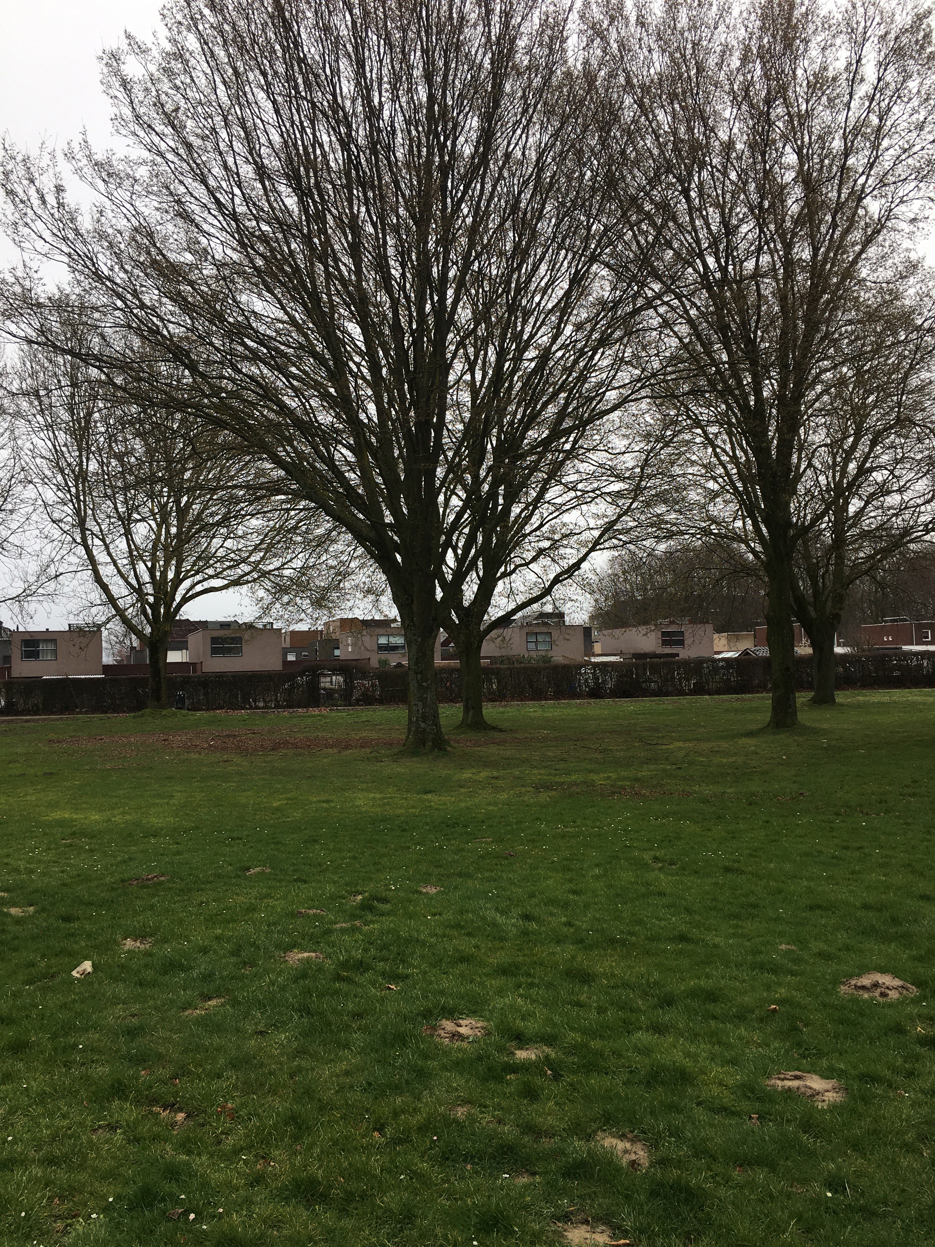 Albrecht Rodenbachstraat 19