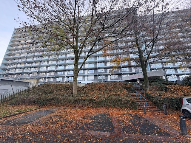 Henri Dunantstraat 691