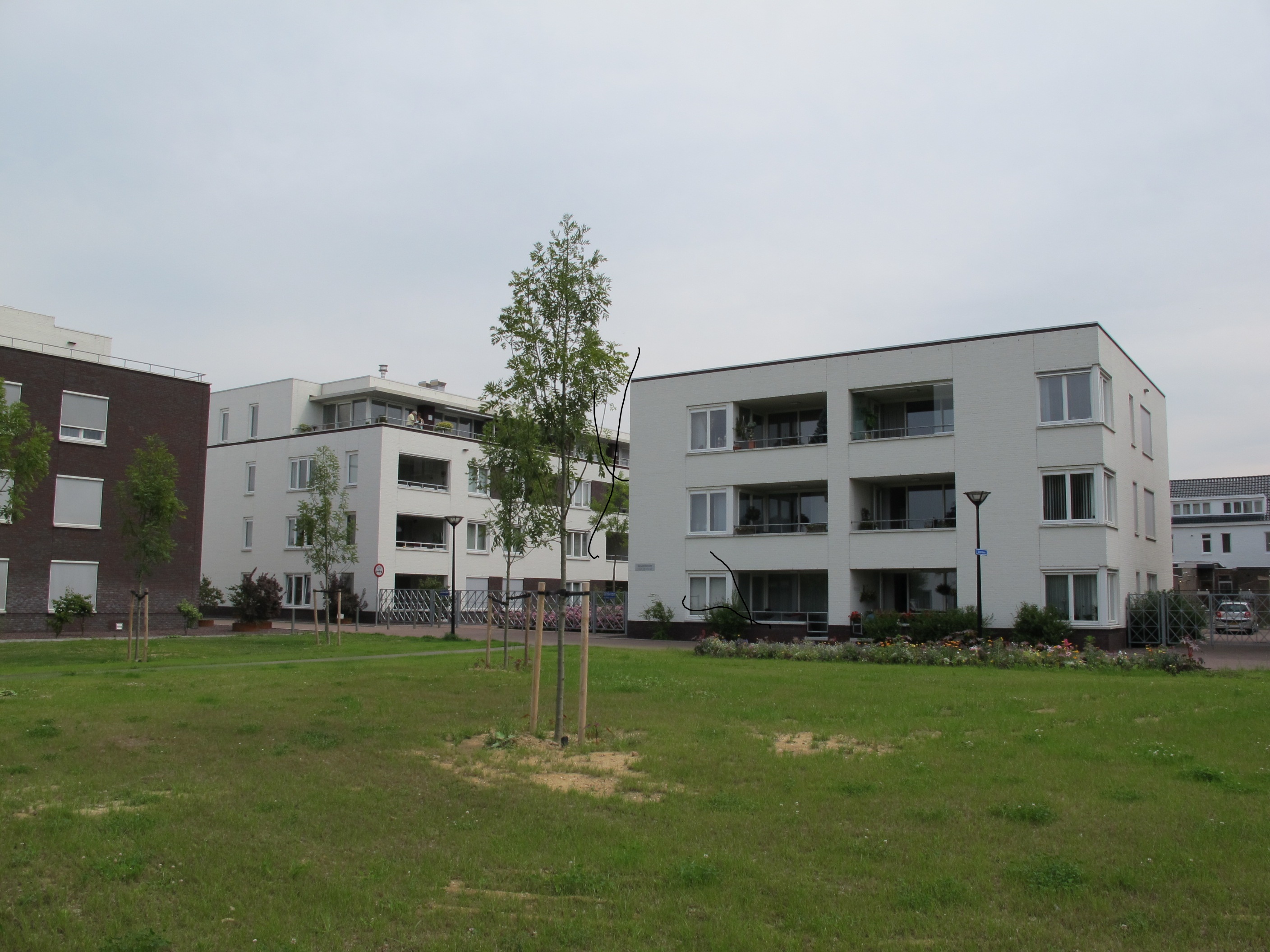 free-sector-houses for rent on Sleutelbloem 7