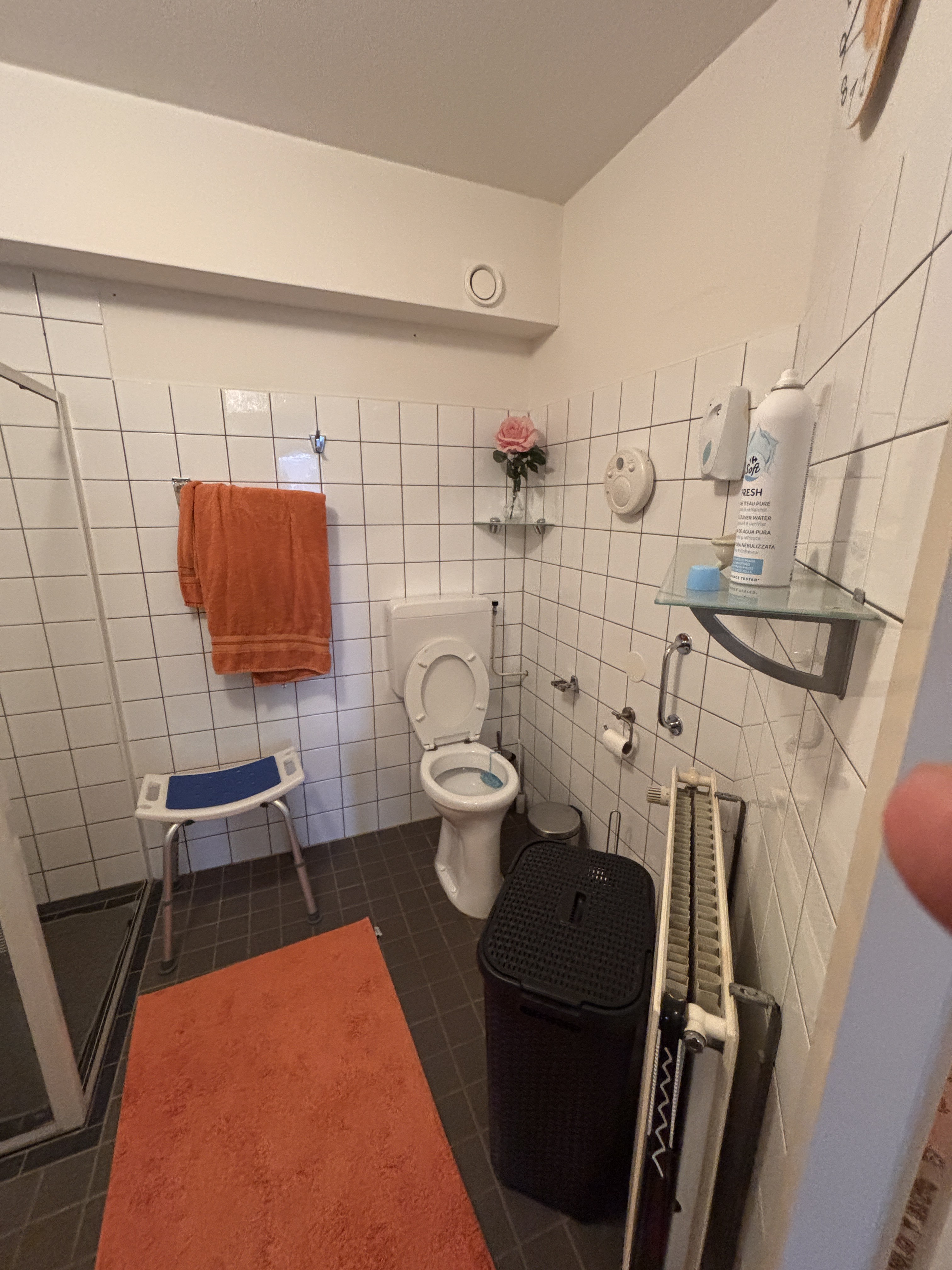 Professor Rommeflat 10