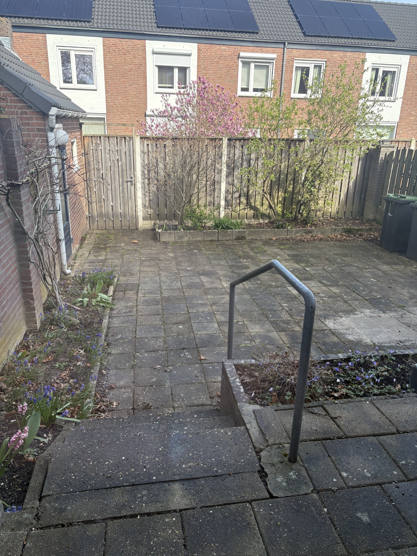 September 1944 Straat 55