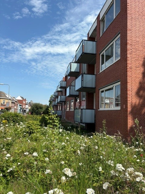 Wijenweg 202