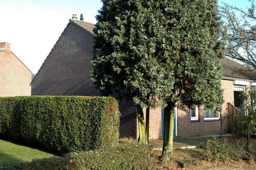 Luysveld 4, 6014 BR Ittervoort, Nederland